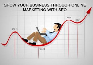 SEO can grwo your business